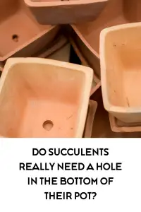 Image of square terracotta planting pots with a hole at the bottom