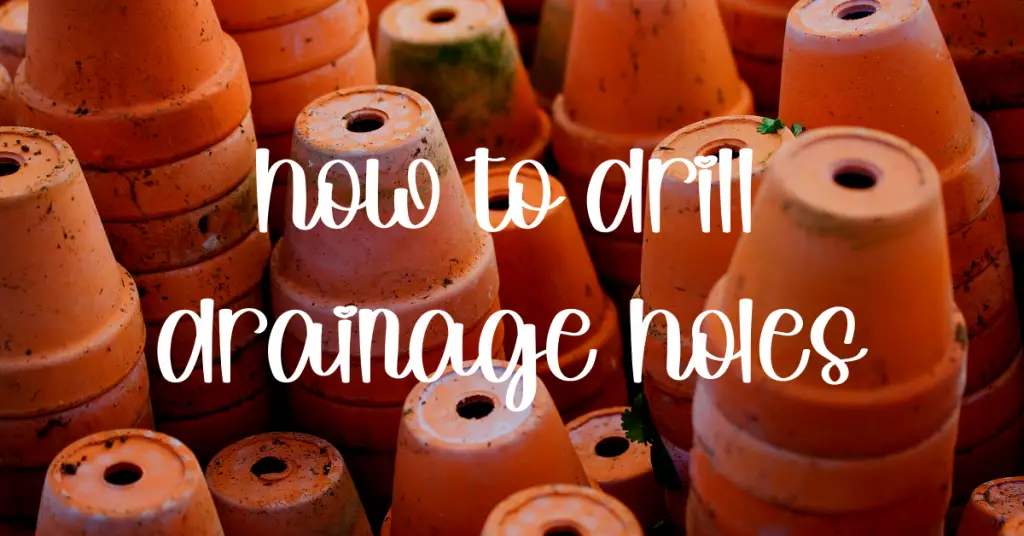 Drill drainage holes in succulent pots