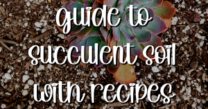 guide to succulent soil with recipes