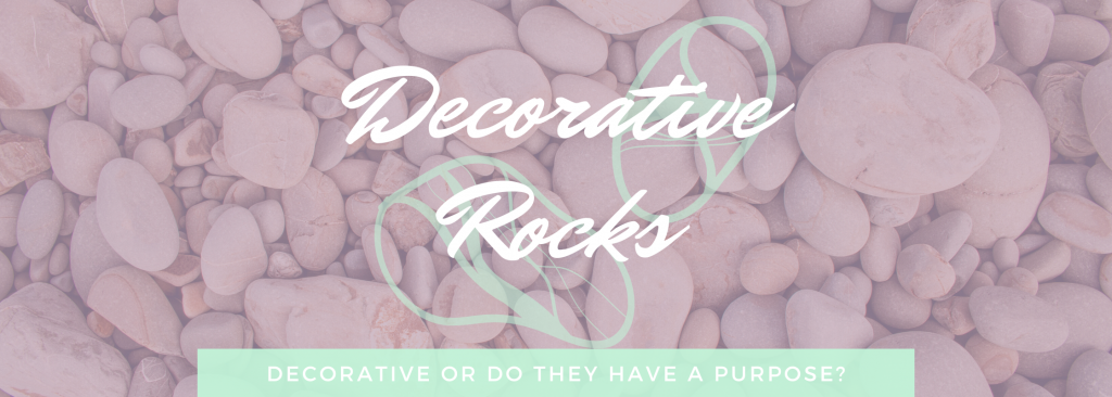 Decorative rocks on top of succulent soil