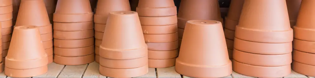 Terracotta pots succulent soil