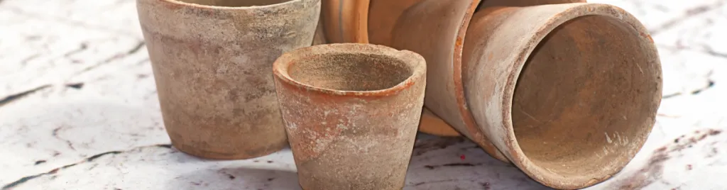 What are the effects of efflorescence on succulents in terracotta pots