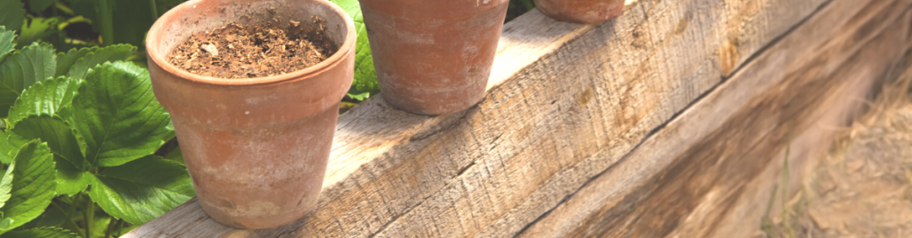 What causes efflorescence on terracotta pots efflorescence