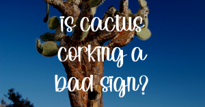 Cactus corking