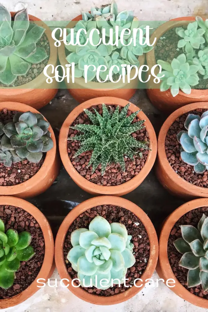 Diy succulent soil recipe
