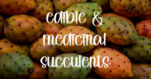 Edible and medicinal succulents