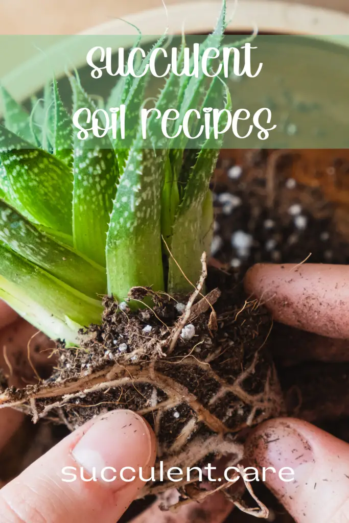 In ground succulent soil recipe