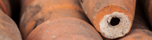 Minerals can build up in terracotta pots over time