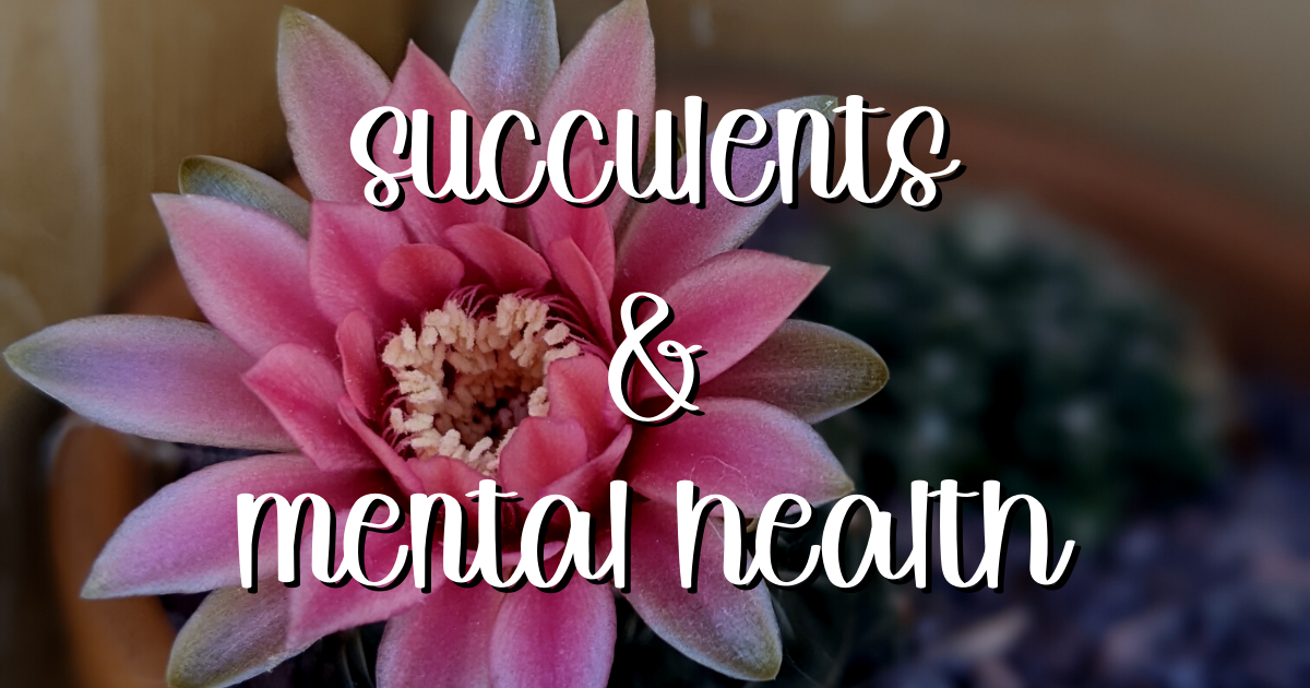 Succulents and mental health