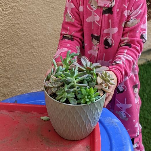 Gardening with kids helps improve their fine motor skills kid