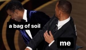 Slapping succulent soil bag