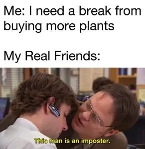 Succulent meme buying more plants office