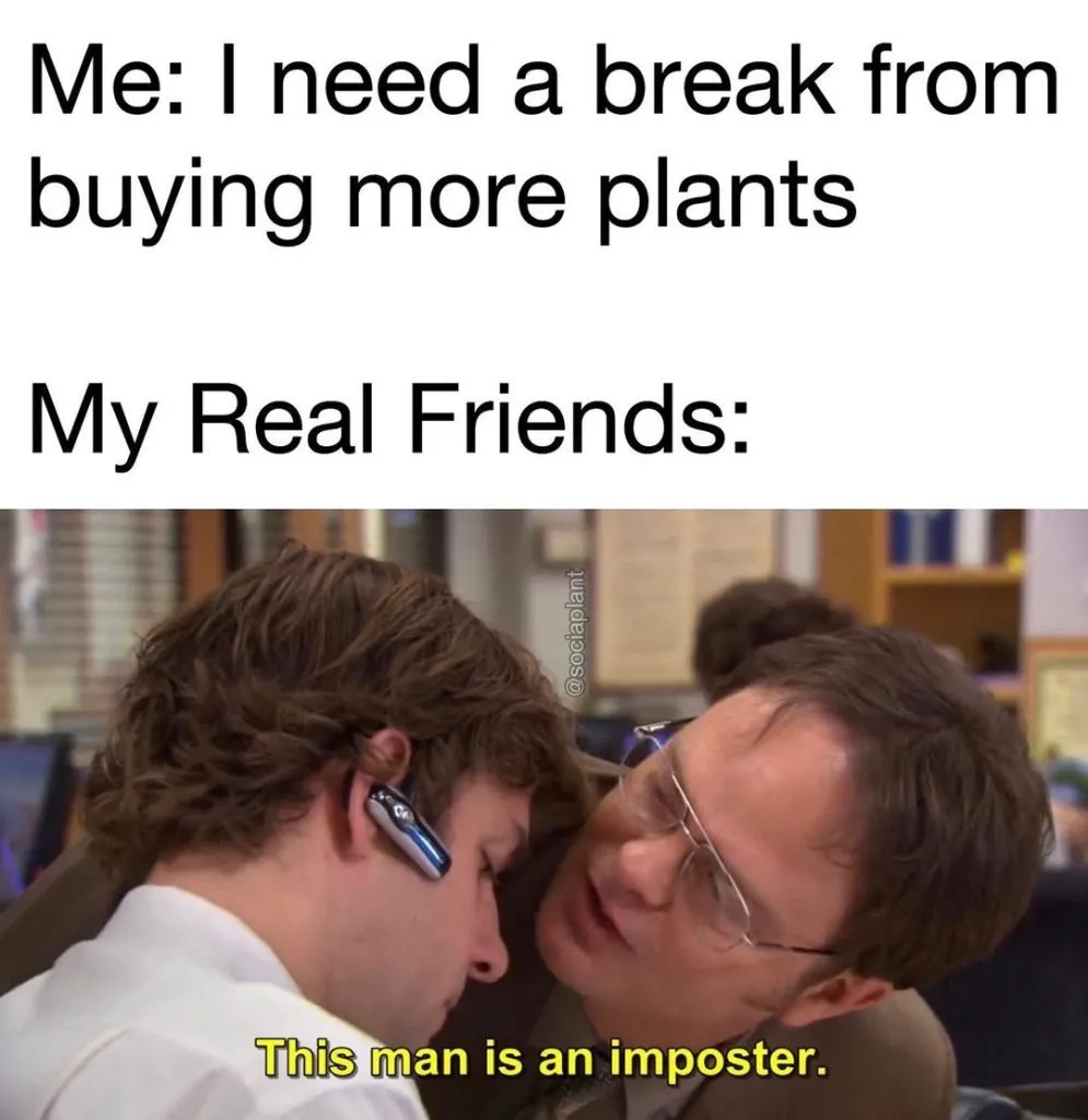 Succulent meme buying more plants office succulent fertilizer