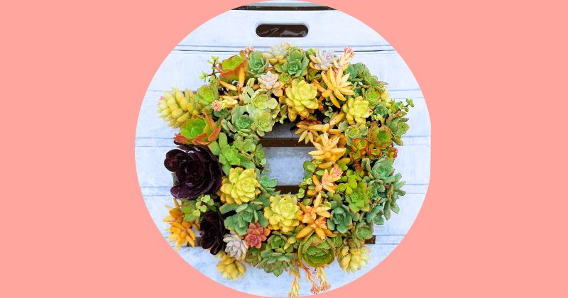 Succulent wreath 04222023 arrangement