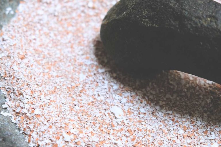 Crushed Eggshells As Fertilizer For Succulents A Comprehensive Guide