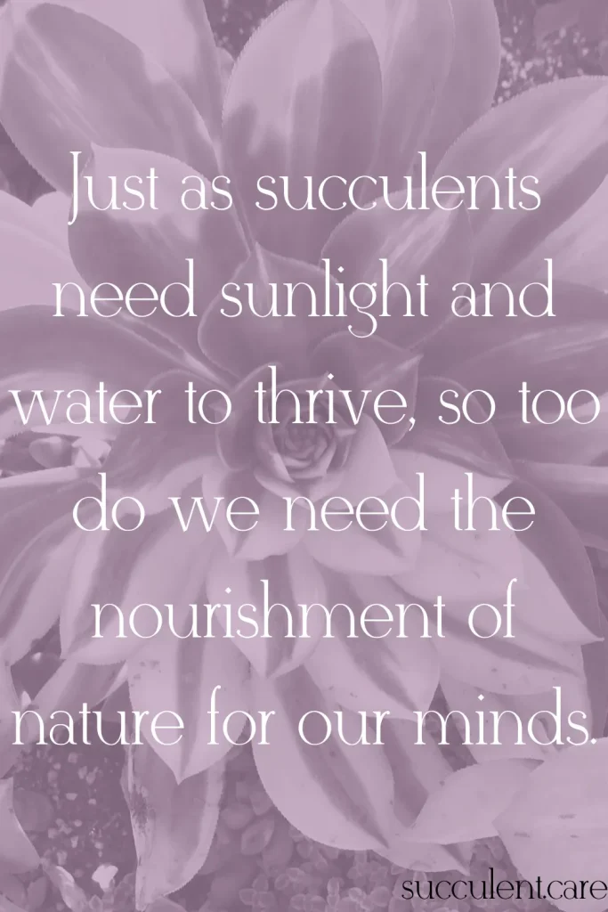 Just as succulents need sunlight and water to thrive so too do we need the nourishment of nature for our minds 1 mental health