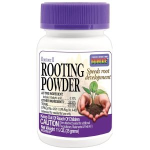 Rooting Powder For Succulents Rooting powder for succulents water propagation