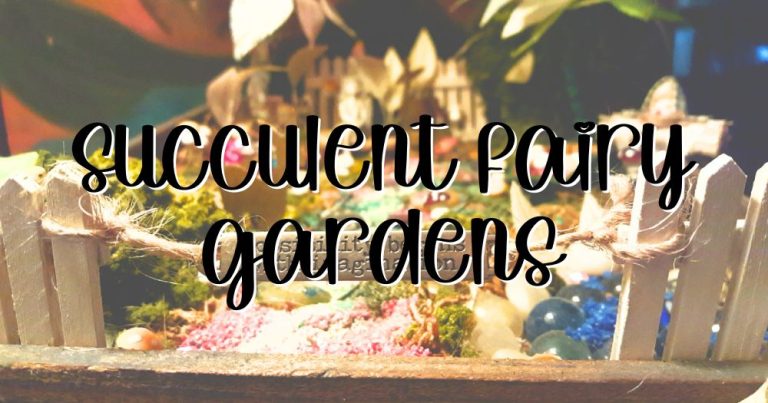 How To Create Magical Succulent Fairy Gardens: 10 Easy Steps For Beginners