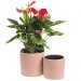 cylinder-succulent-pots