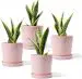 pink-speckled-succulent-pots-promo-code